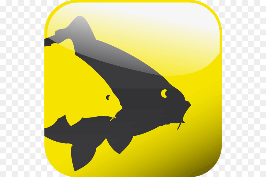 Carp, Carp Fishing, Angling, Computer Wallpaper, Dolphin - Avid Carp , HD Wallpaper & Backgrounds