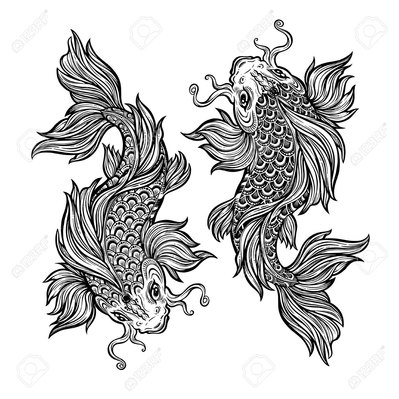 Drawn Koi Carp Fishing - Drawings Of Carp Fish , HD Wallpaper & Backgrounds