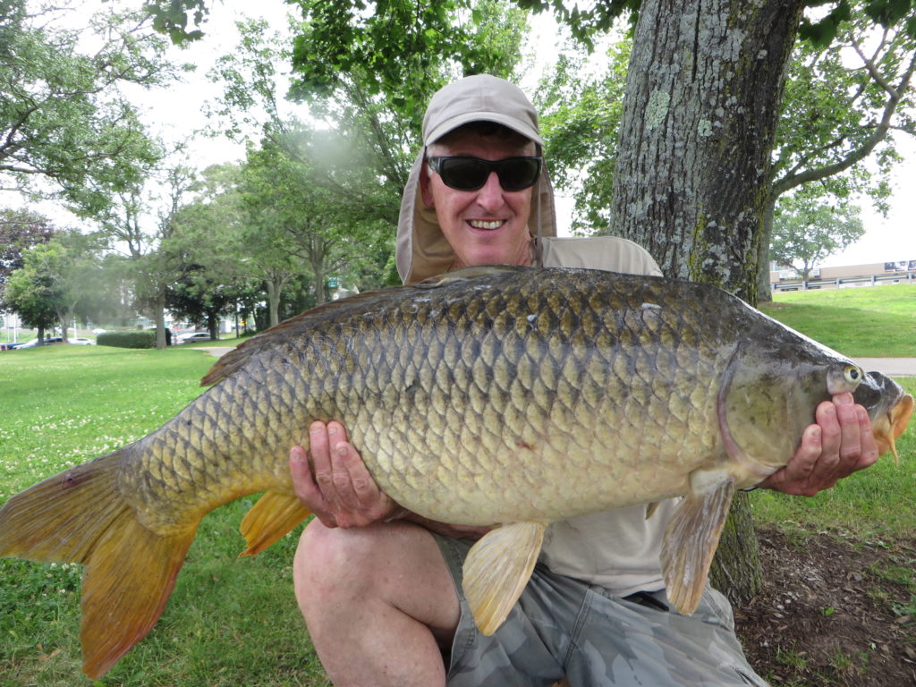A Freshwater Fishing Show By David Pickering - 23 Pound Carp Fish , HD Wallpaper & Backgrounds