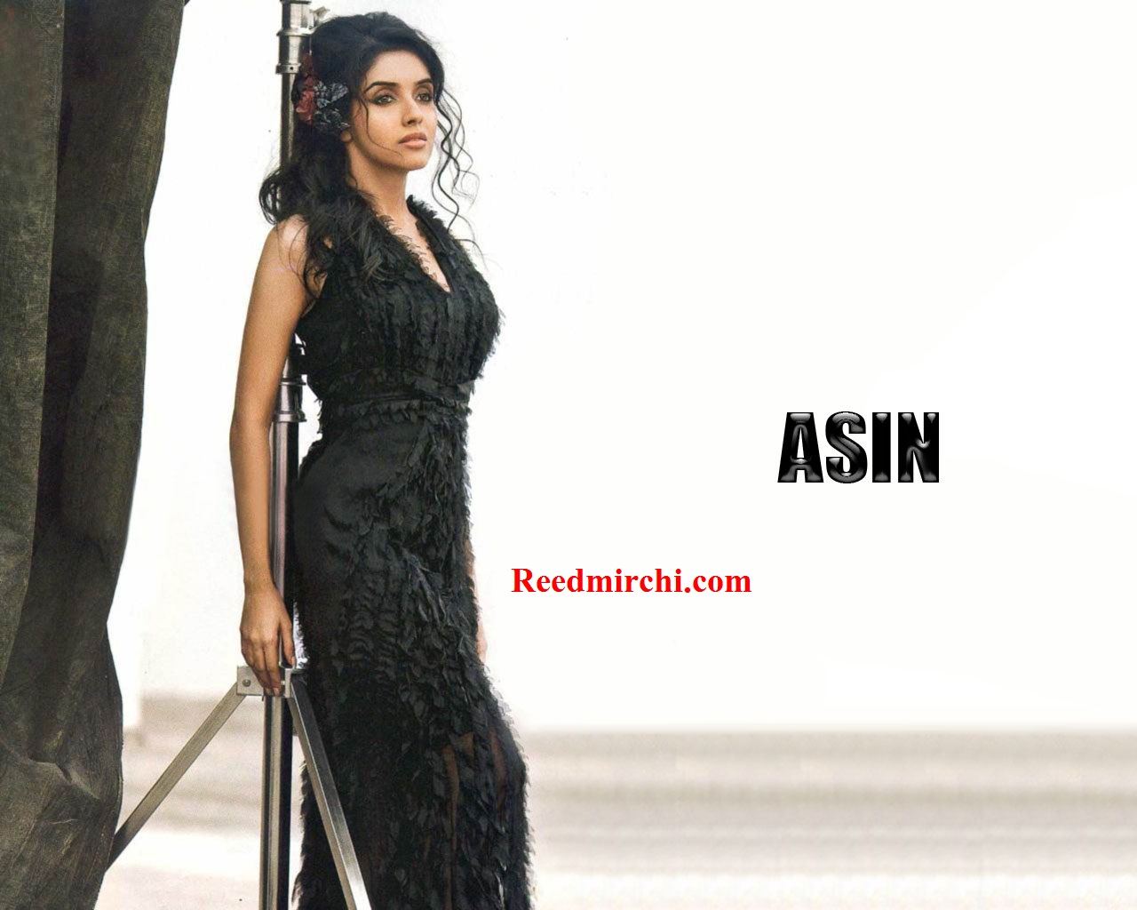 Here Are Her Hq Images And Photoshoot, Asin Hd Pictures - Asin Sad , HD Wallpaper & Backgrounds