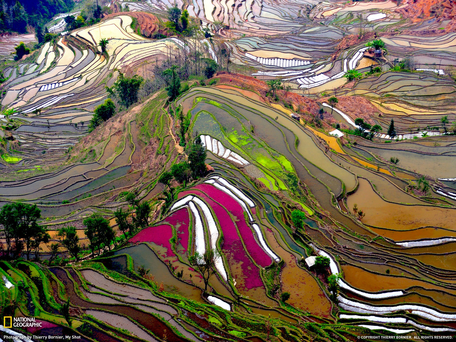 Hd World Geography Scenery - China Rice Fields , HD Wallpaper & Backgrounds