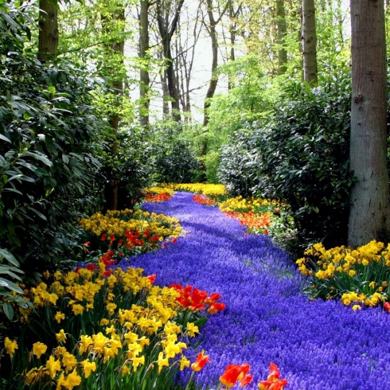 10 Best Spring Scenery Wallpaper Widescreen Full Hd - Very Very Beautiful Flowers , HD Wallpaper & Backgrounds