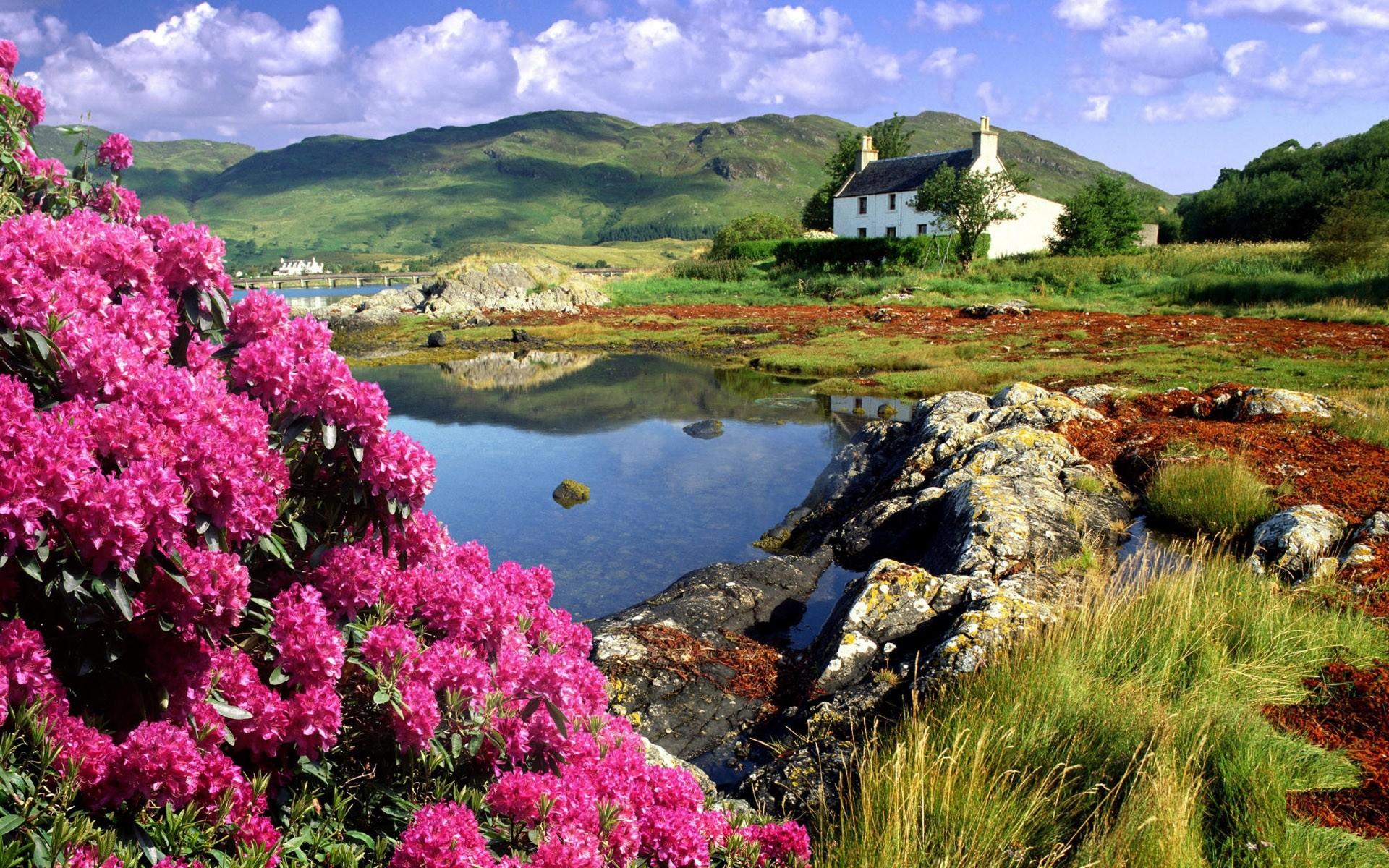 Best Scenery Hd Wallpaper - Beautiful Scotland , HD Wallpaper & Backgrounds