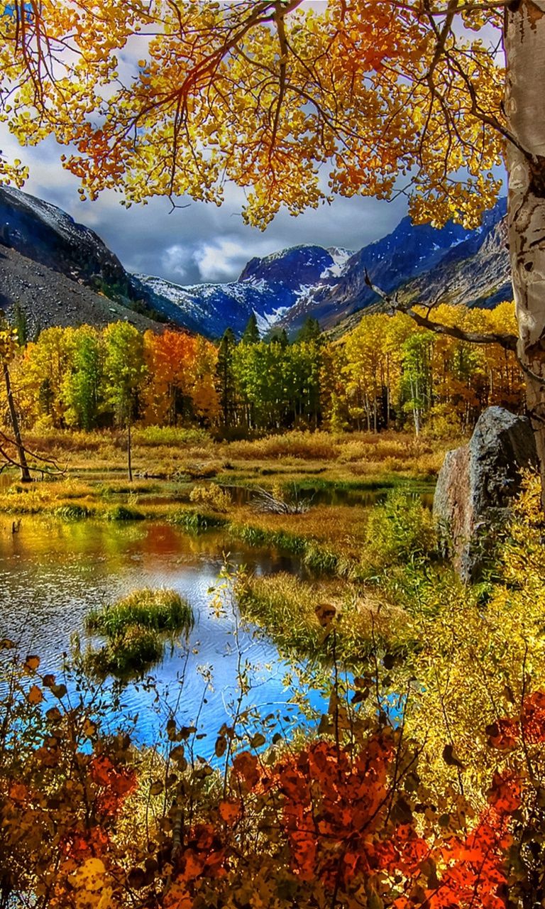 Natural - Fall Nature Wallpaper Iphone , HD Wallpaper & Backgrounds