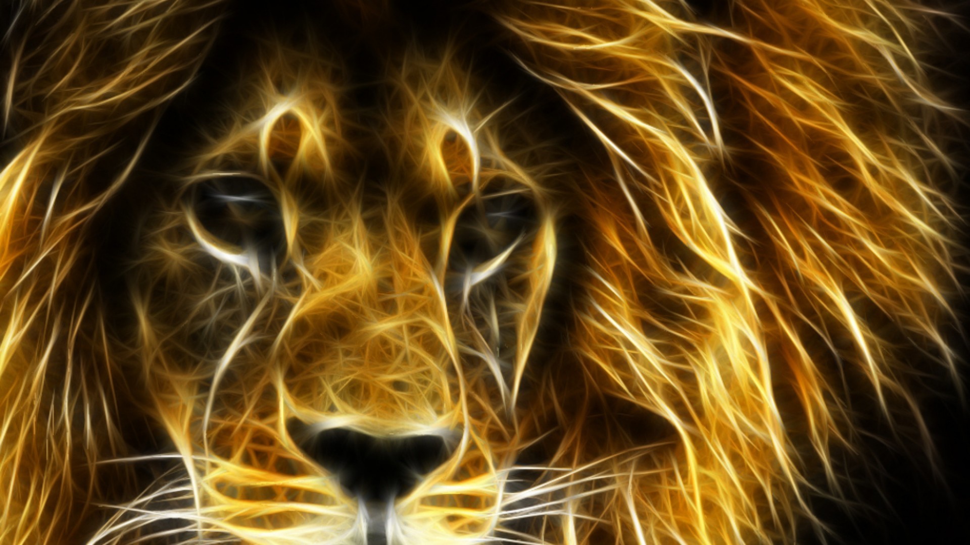 Lion Wallpapers - 3d Lion Wallpaper Download , HD Wallpaper & Backgrounds