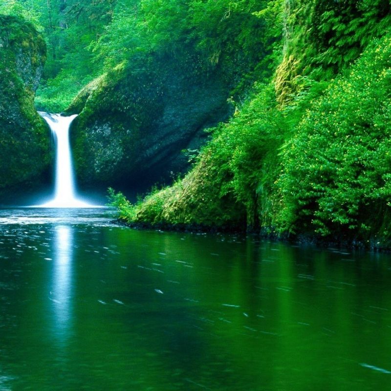 10 Best Nature Hd Wallpaper 1920x1080 Full Hd 1080p - Green , HD Wallpaper & Backgrounds