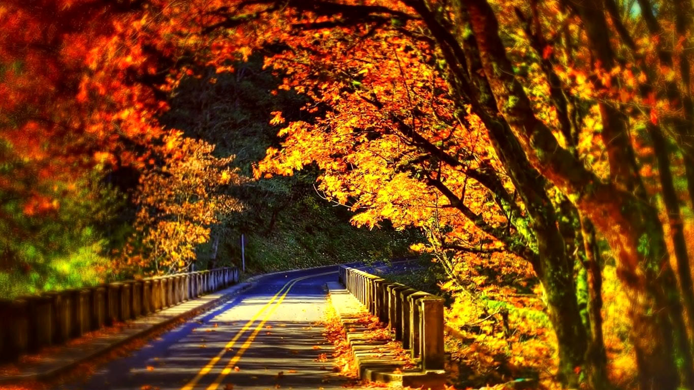 Beautiful Autumn Road Scenery Wallpapers , HD Wallpaper & Backgrounds