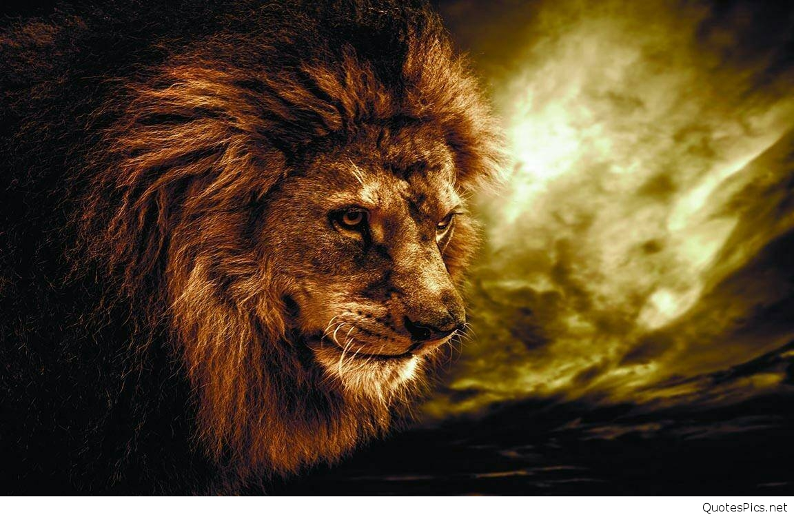 Lion Roaring Hd Wallpapers - Lion Roar Images Hd , HD Wallpaper & Backgrounds