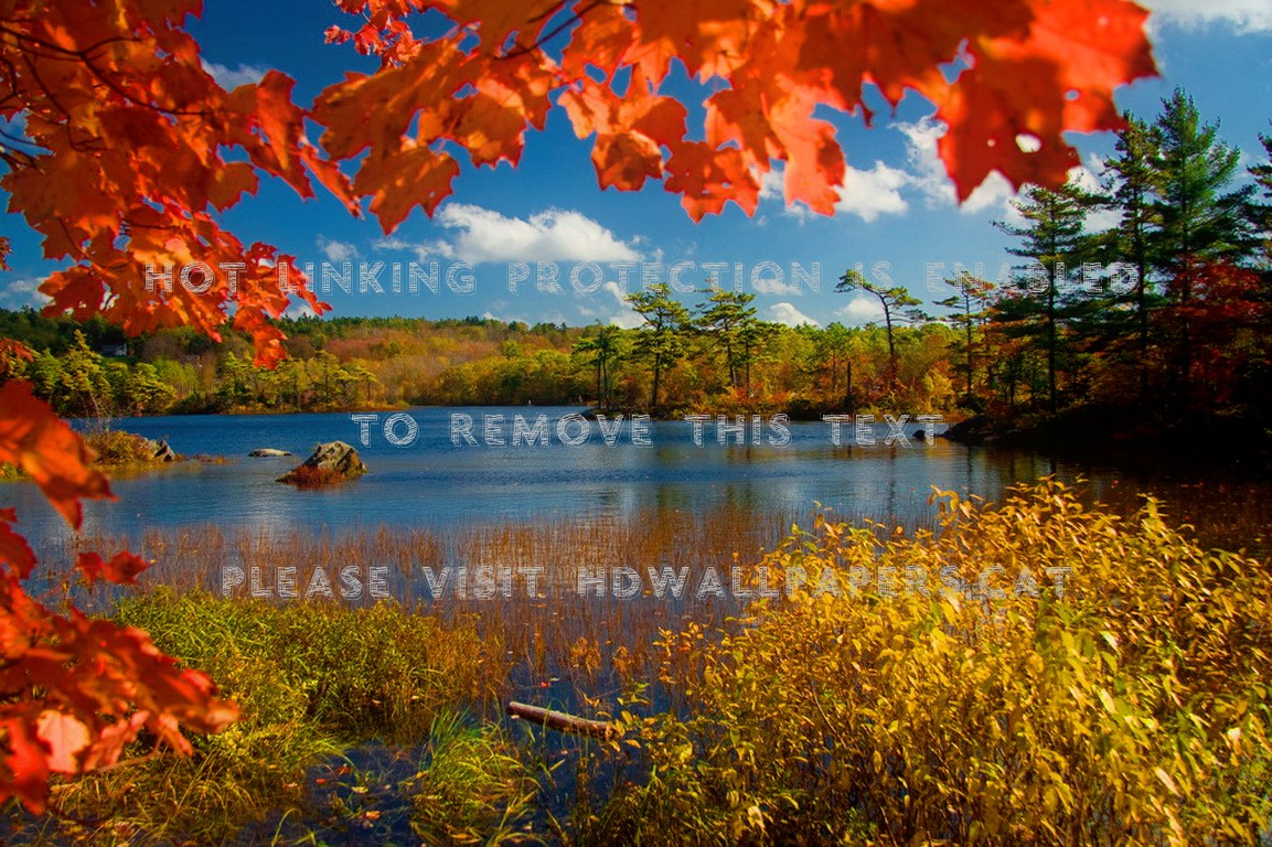 Indian Summer Autumn Colors Lake Fall Trees Wallpaper - Autumn Leaves And Lakes , HD Wallpaper & Backgrounds