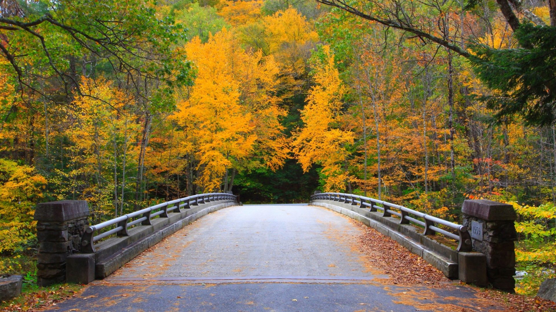 Bridge Massachusetts Colorful Autumn Trees Nature Forest - Background Images Nature Bridges , HD Wallpaper & Backgrounds