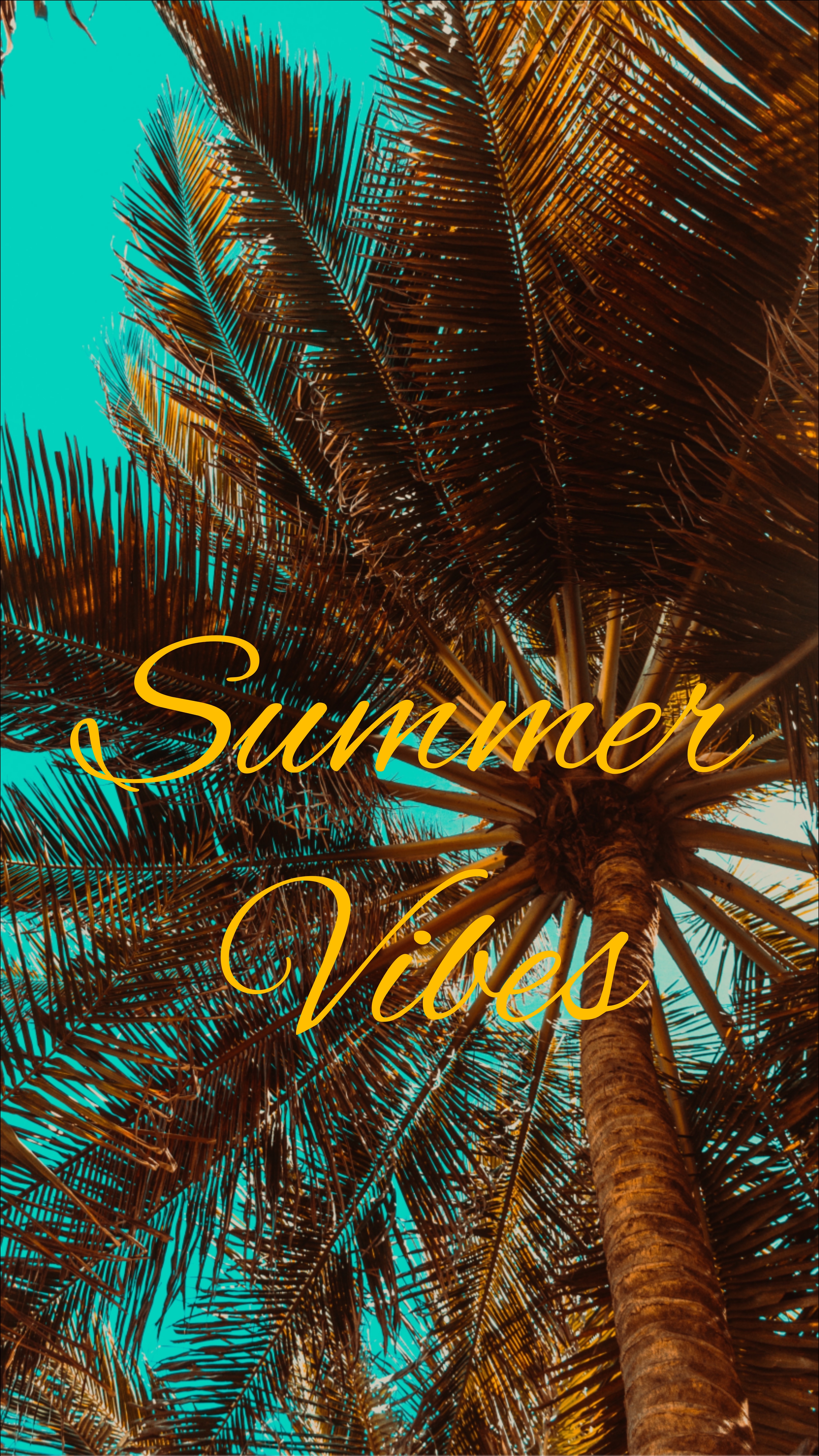 Wallpaper Summer, Vibes, Palm, Mood - Summer Vibes Wallpaper Iphone , HD Wallpaper & Backgrounds