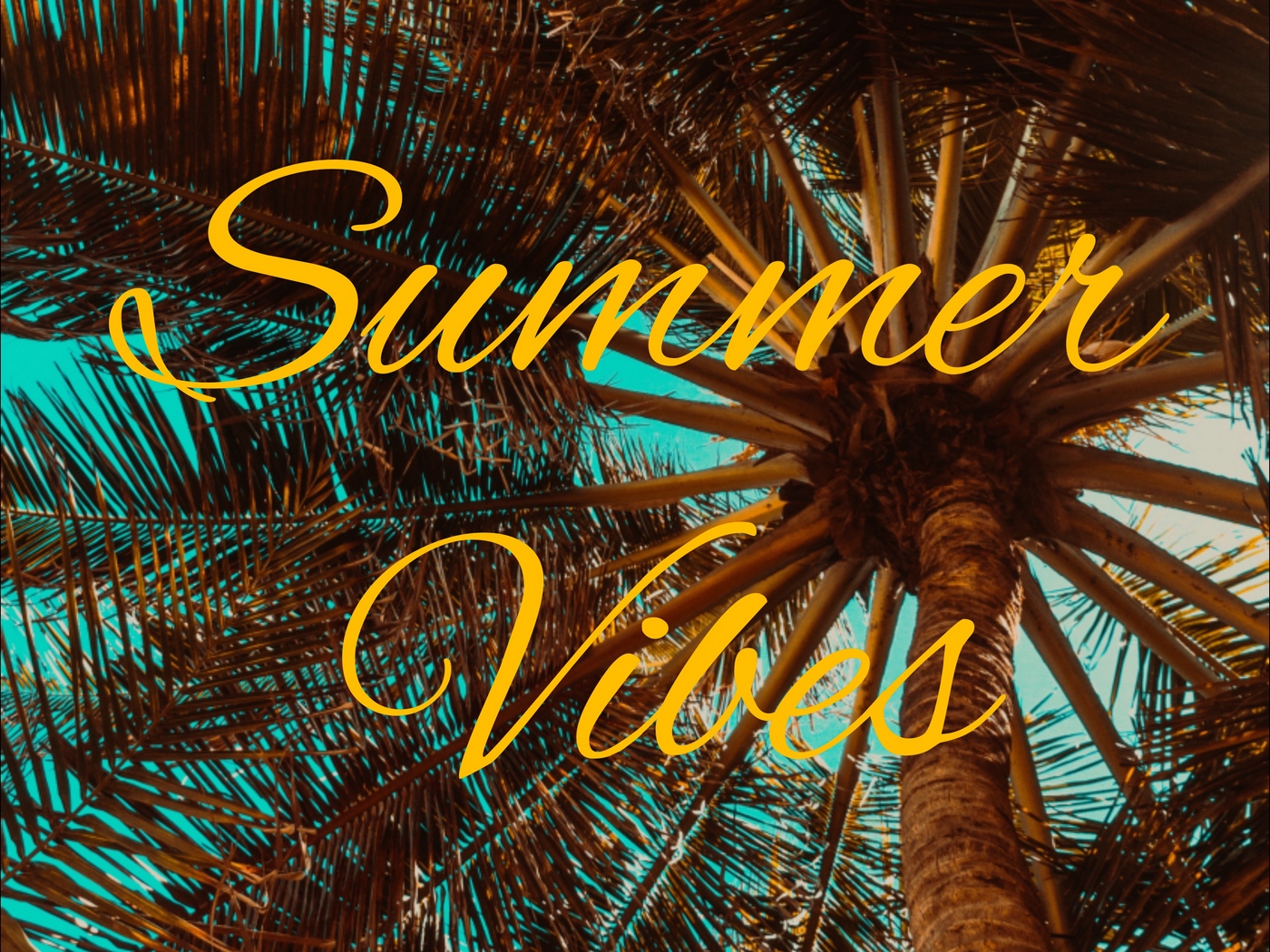 Wallpaper Summer, Vibes, Palm, Mood - Summer Vibes Wallpaper Iphone , HD Wallpaper & Backgrounds