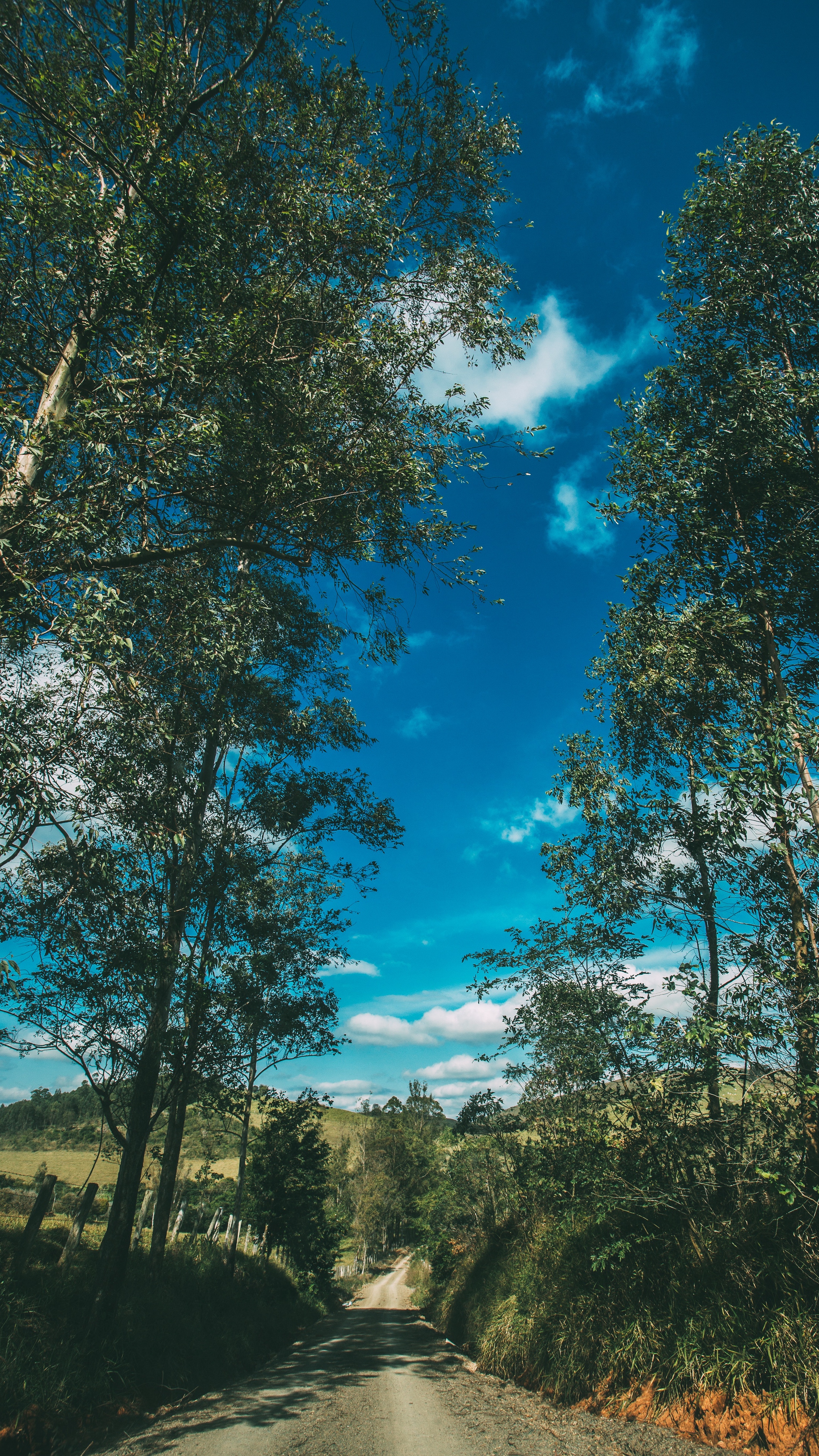 Wallpaper Summer, Road, Trees, Sky, Sunny - Summer Vibes Wallpaper Hd , HD Wallpaper & Backgrounds