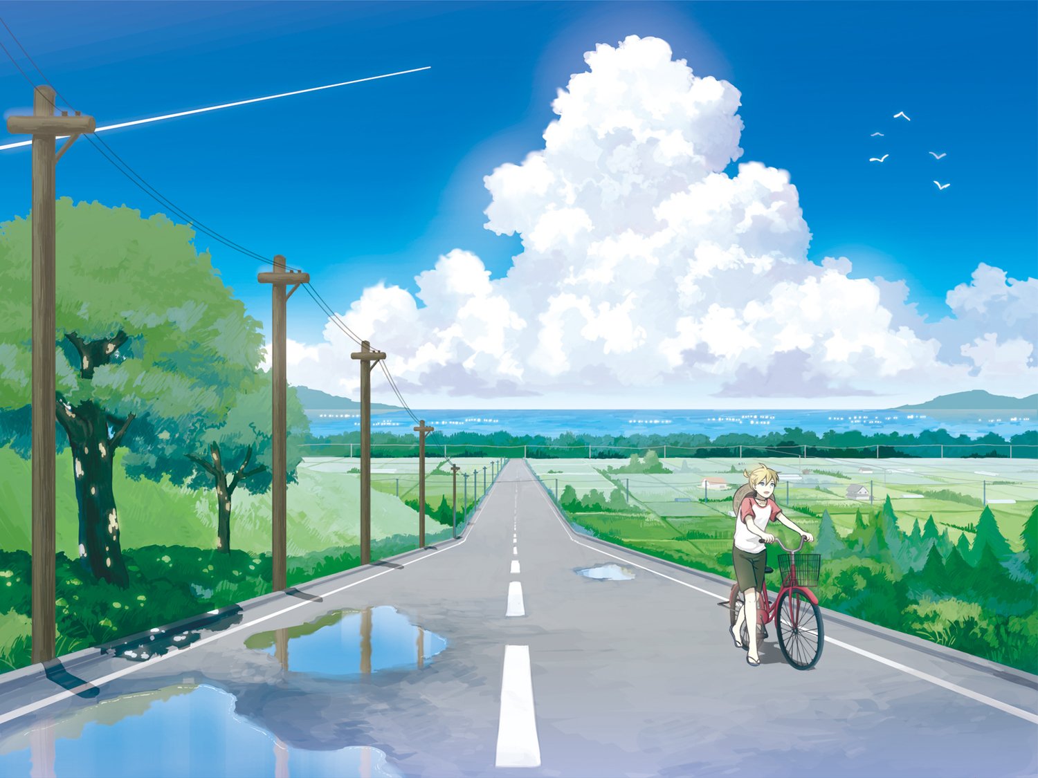 Anime 2d Scenery , HD Wallpaper & Backgrounds