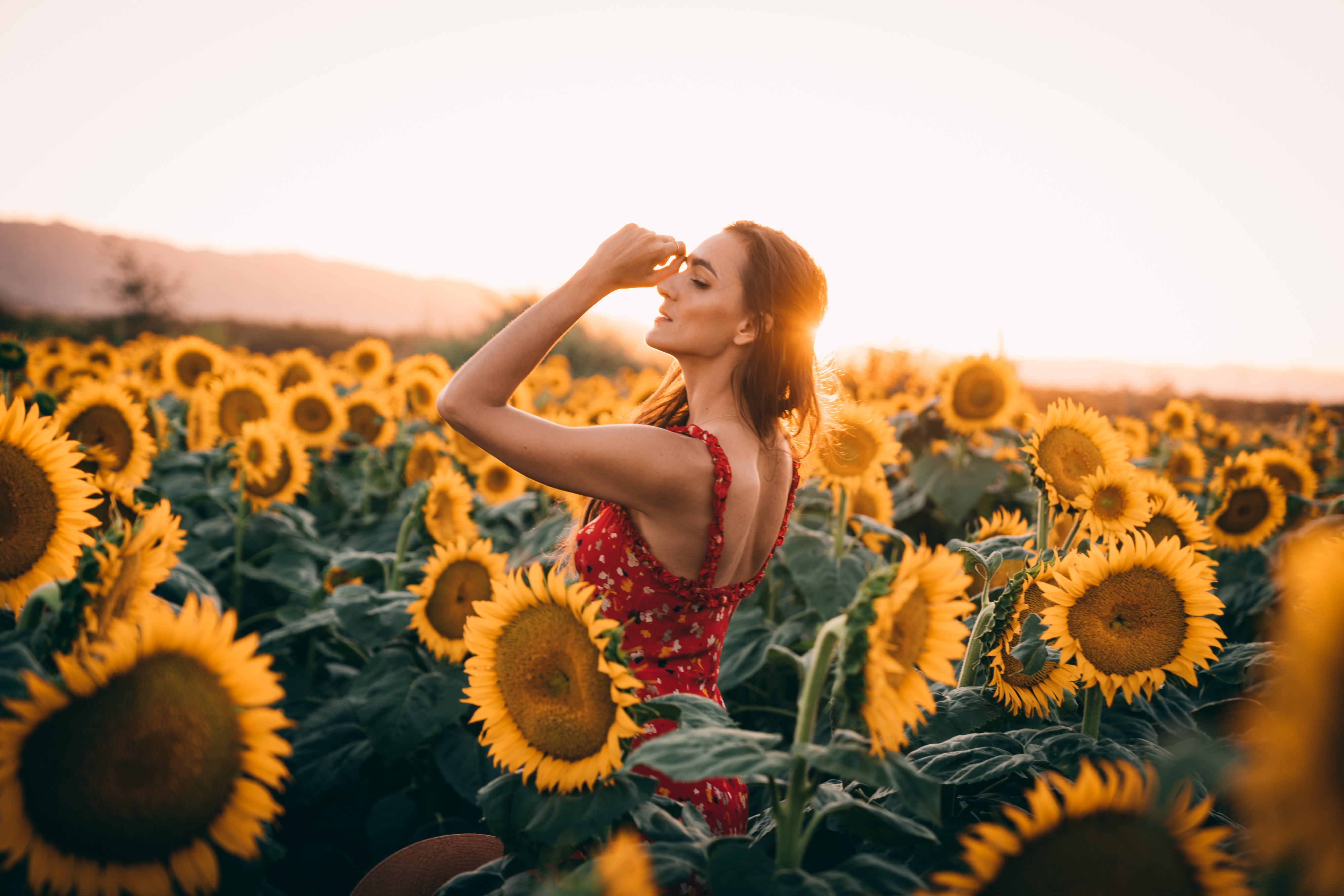 Summer, Sunflower, Girl, Red Dress, Woman, Model, Mood , HD Wallpaper & Backgrounds