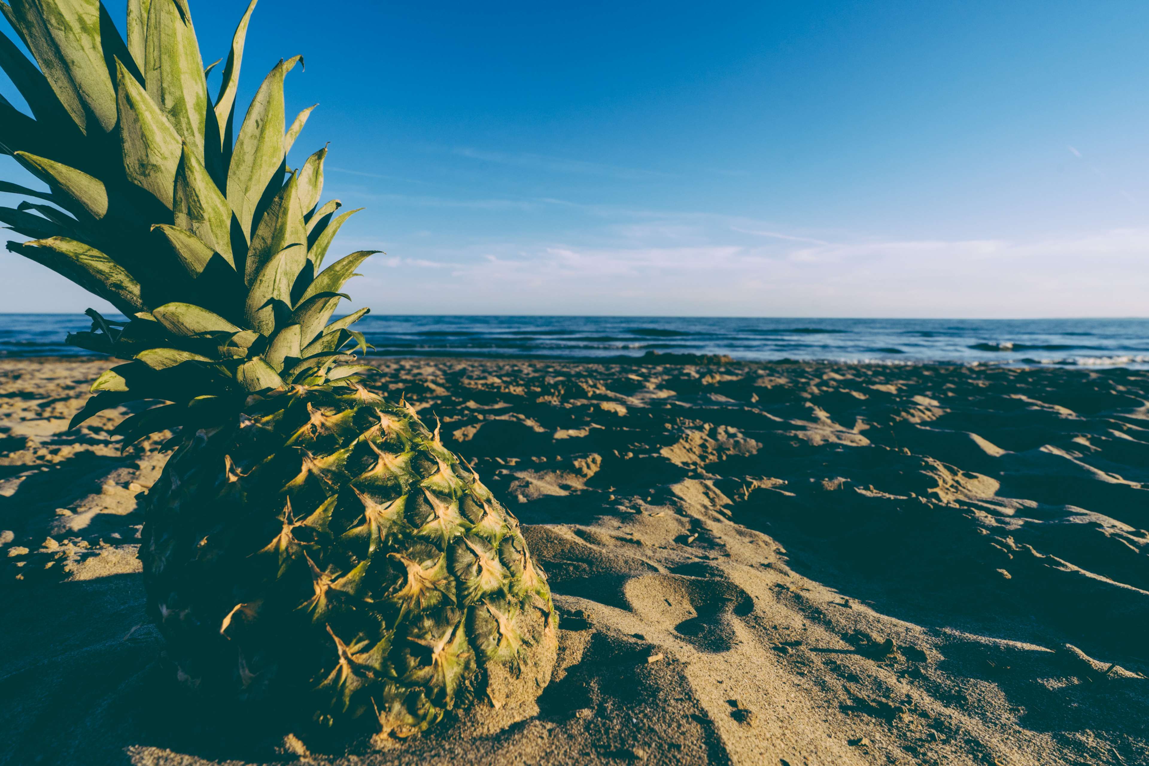 Lake, Ocean, Pineapple, Sand, Sea, Shadow, Summer, - Summer Vibe , HD Wallpaper & Backgrounds