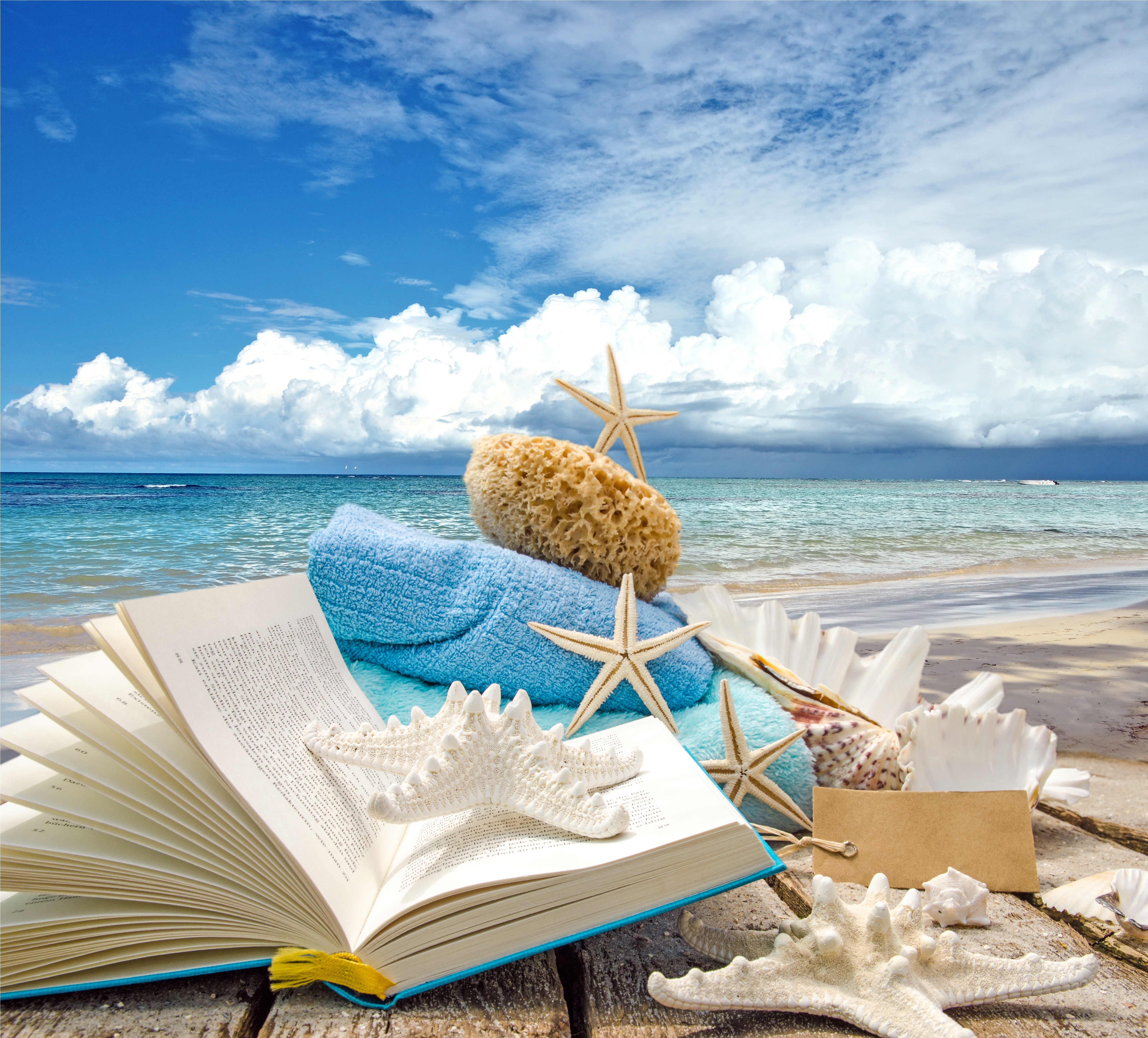 Summer Vacation Beaches Wallpapers - Libro En La Playa , HD Wallpaper & Backgrounds