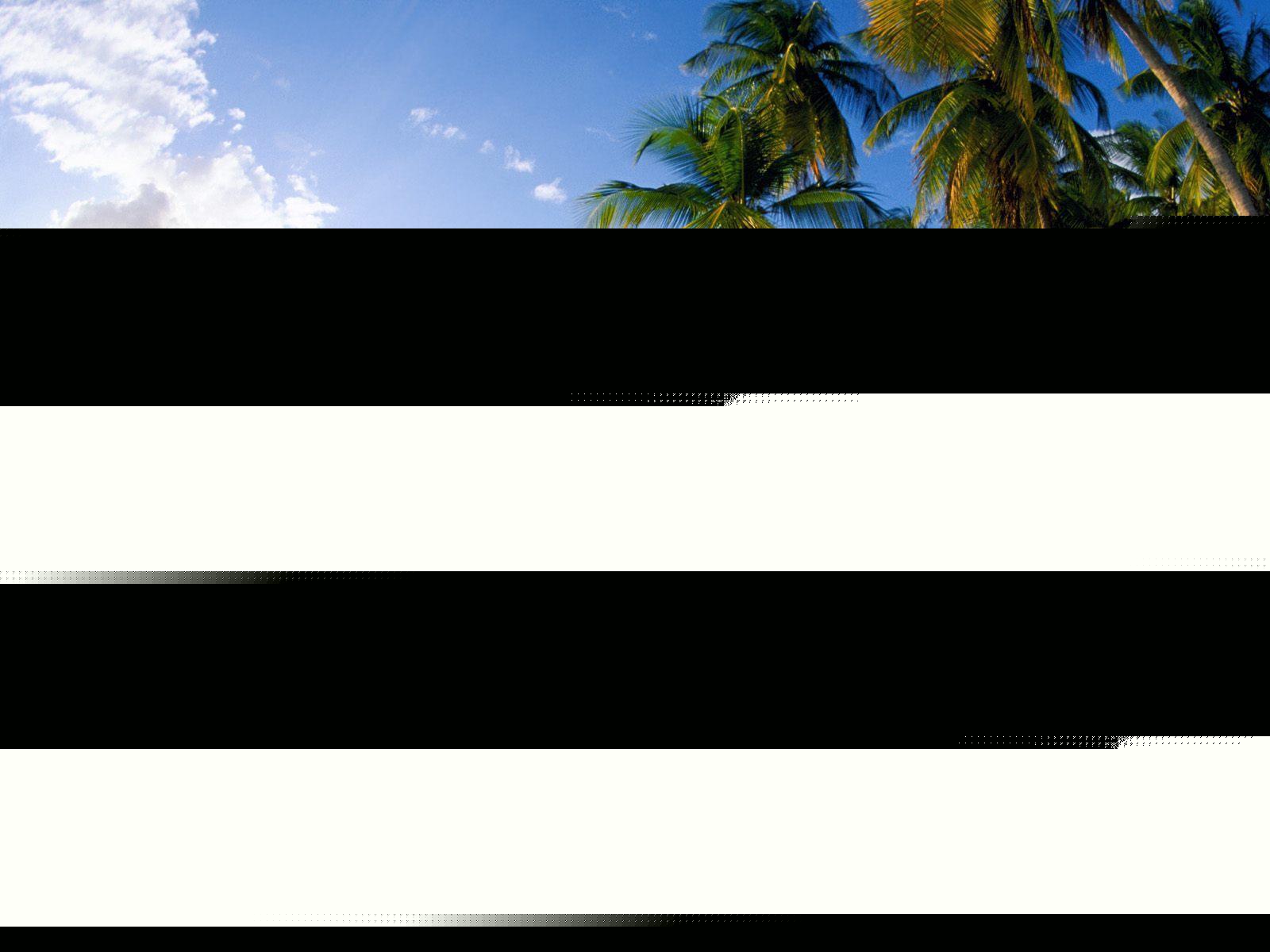 Best Summer Hd Desktop Wallpapers - Summer Beach Palm Trees , HD Wallpaper & Backgrounds