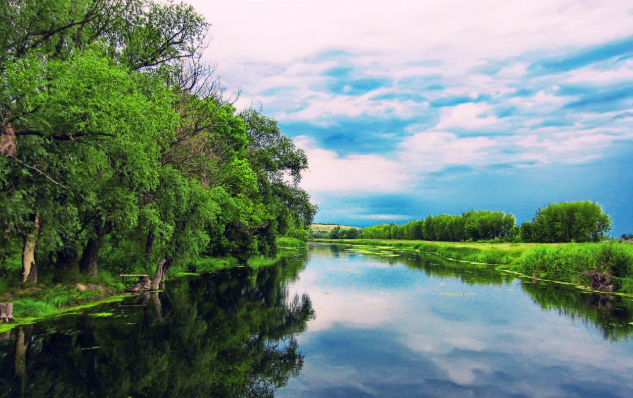 Beautiful Summer River Wallpapers And Stock Photos - Summer River , HD Wallpaper & Backgrounds