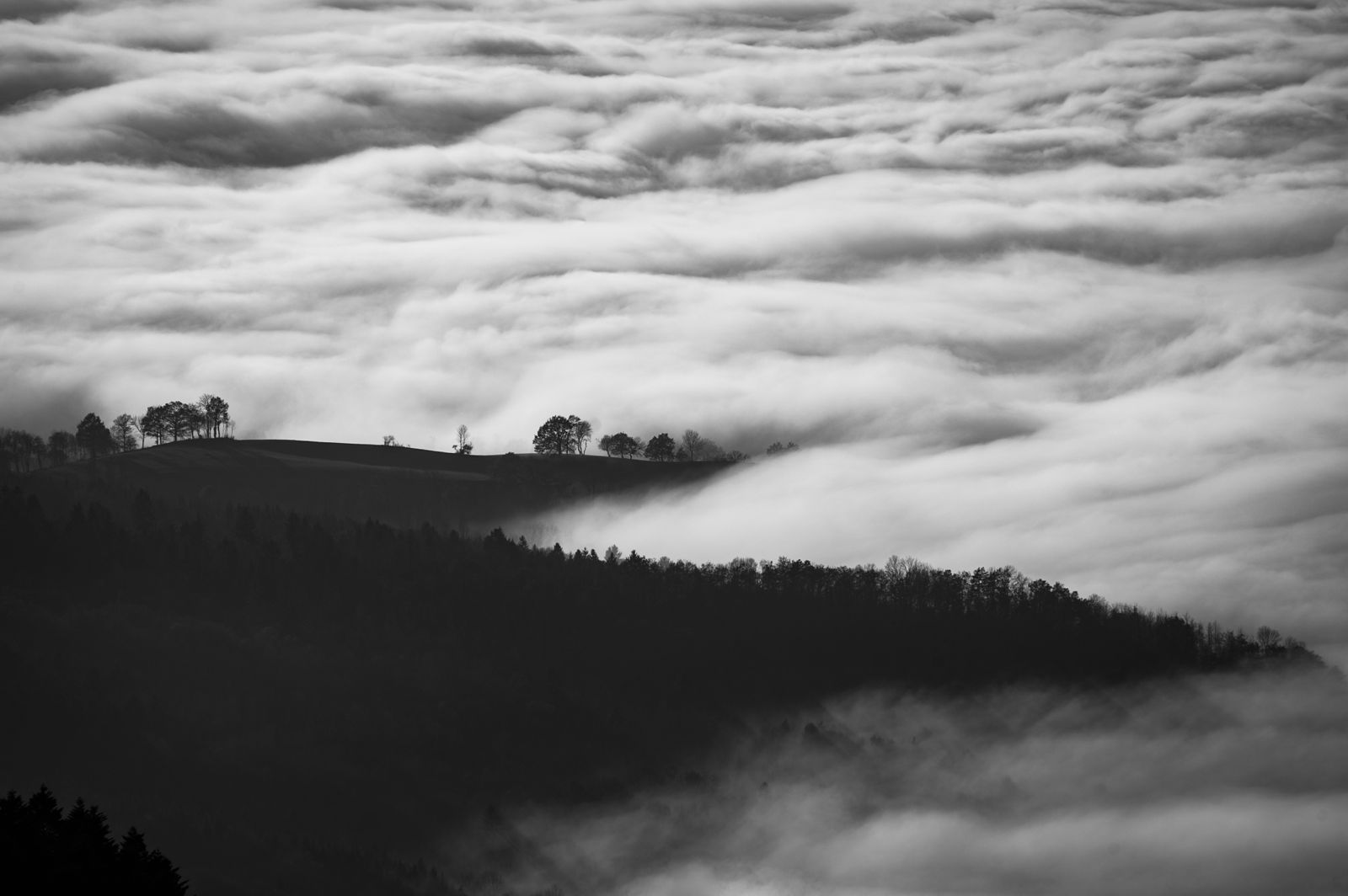 Trees Clouds Black And White Forest Mountain Wallpaper - Black And White Forest 4k , HD Wallpaper & Backgrounds