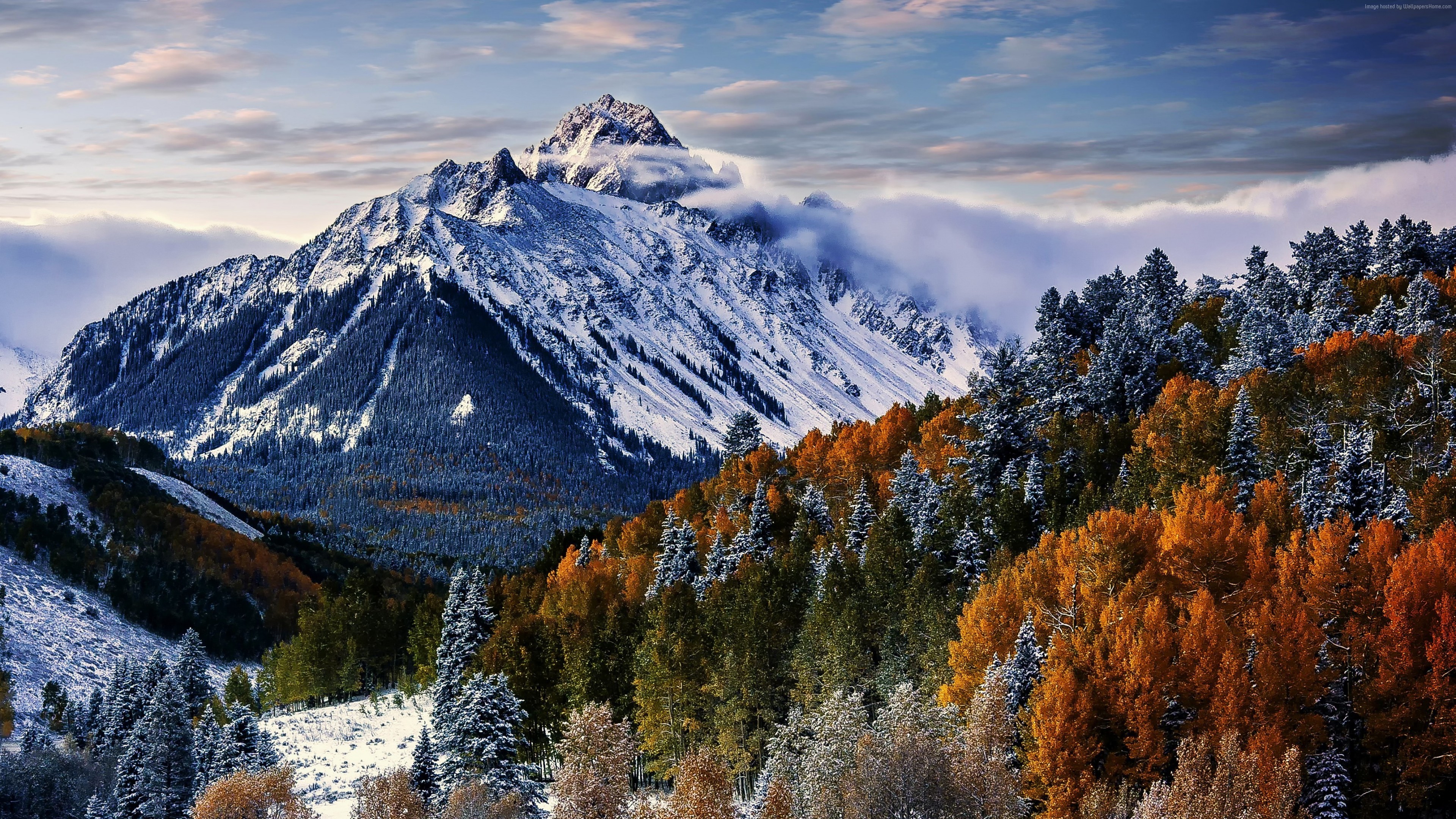 Previous Wallpaper - Winter Forest Mountain 4k , HD Wallpaper & Backgrounds