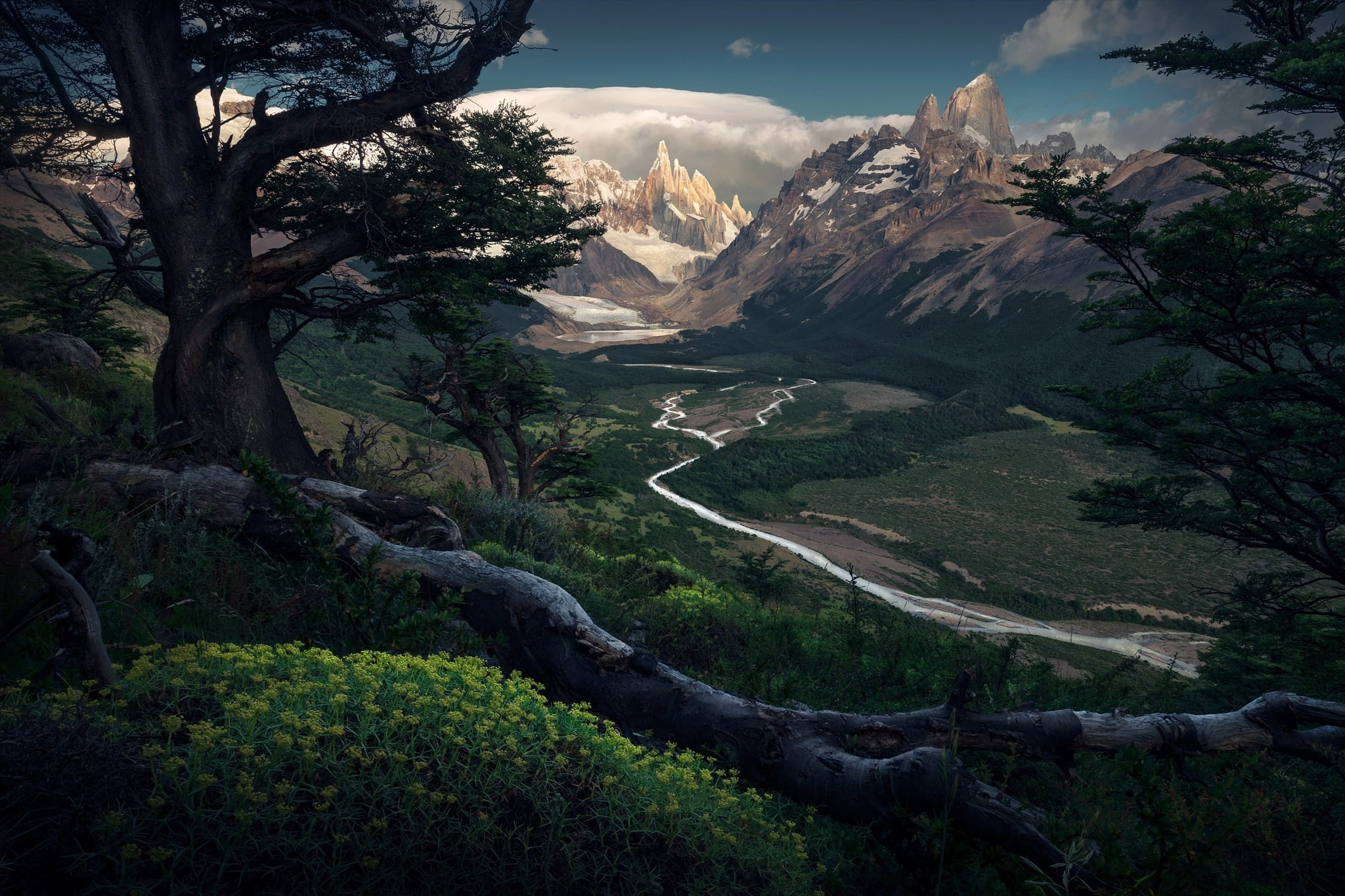 Green Leafed Trees Painting, Nature, Landscape, Dark, - Max Rive Patagonia , HD Wallpaper & Backgrounds