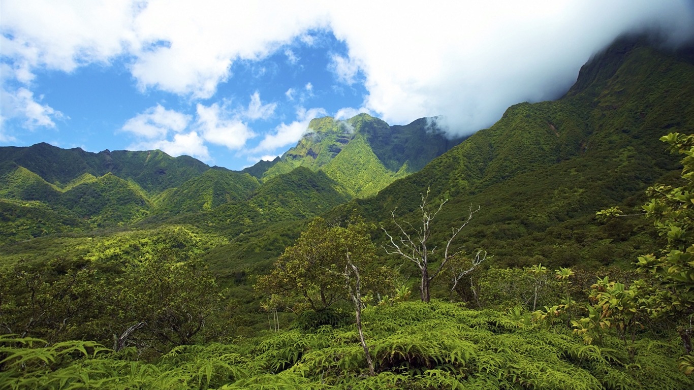 Misty Mountains-hawaiian Islands Landscape Hd Wallpaper - Hd Misty Mountains , HD Wallpaper & Backgrounds