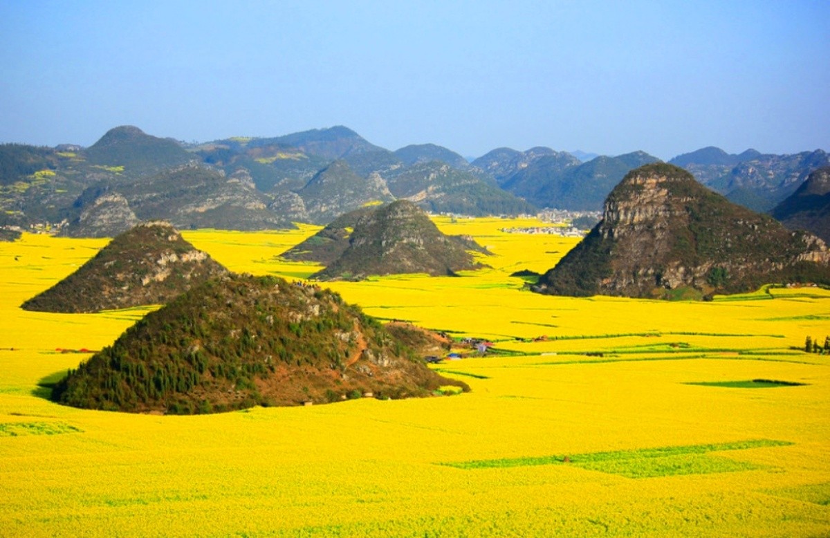 Mountains Photography Yellow Nature Flowers Rocky Hd - Canola Flower Fields Luoping China , HD Wallpaper & Backgrounds