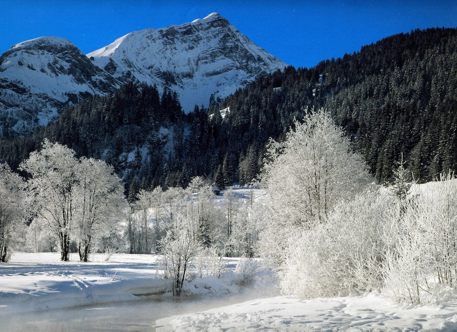 Mountains Snowy Snow Cold Trees White Winter Mountain - Snowy Mountains Scenery , HD Wallpaper & Backgrounds