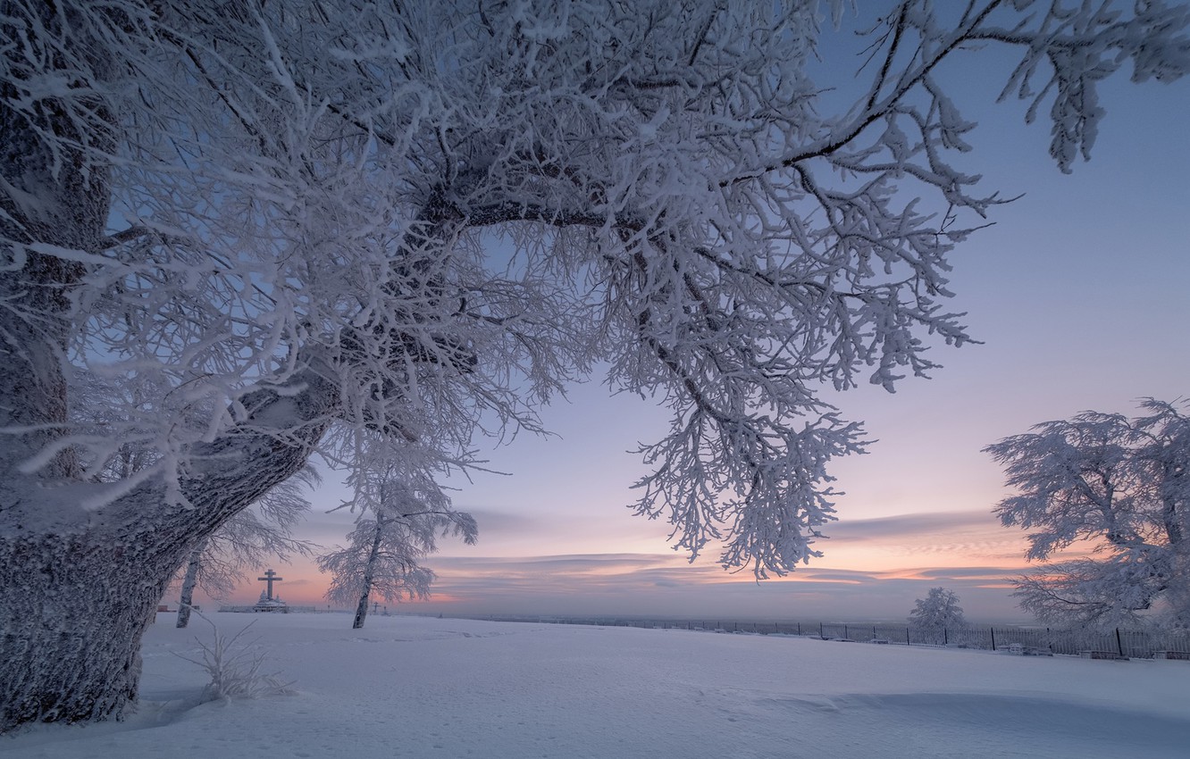 Photo Wallpaper Winter, Snow, Trees, Branches, Dawn, - Snow , HD Wallpaper & Backgrounds