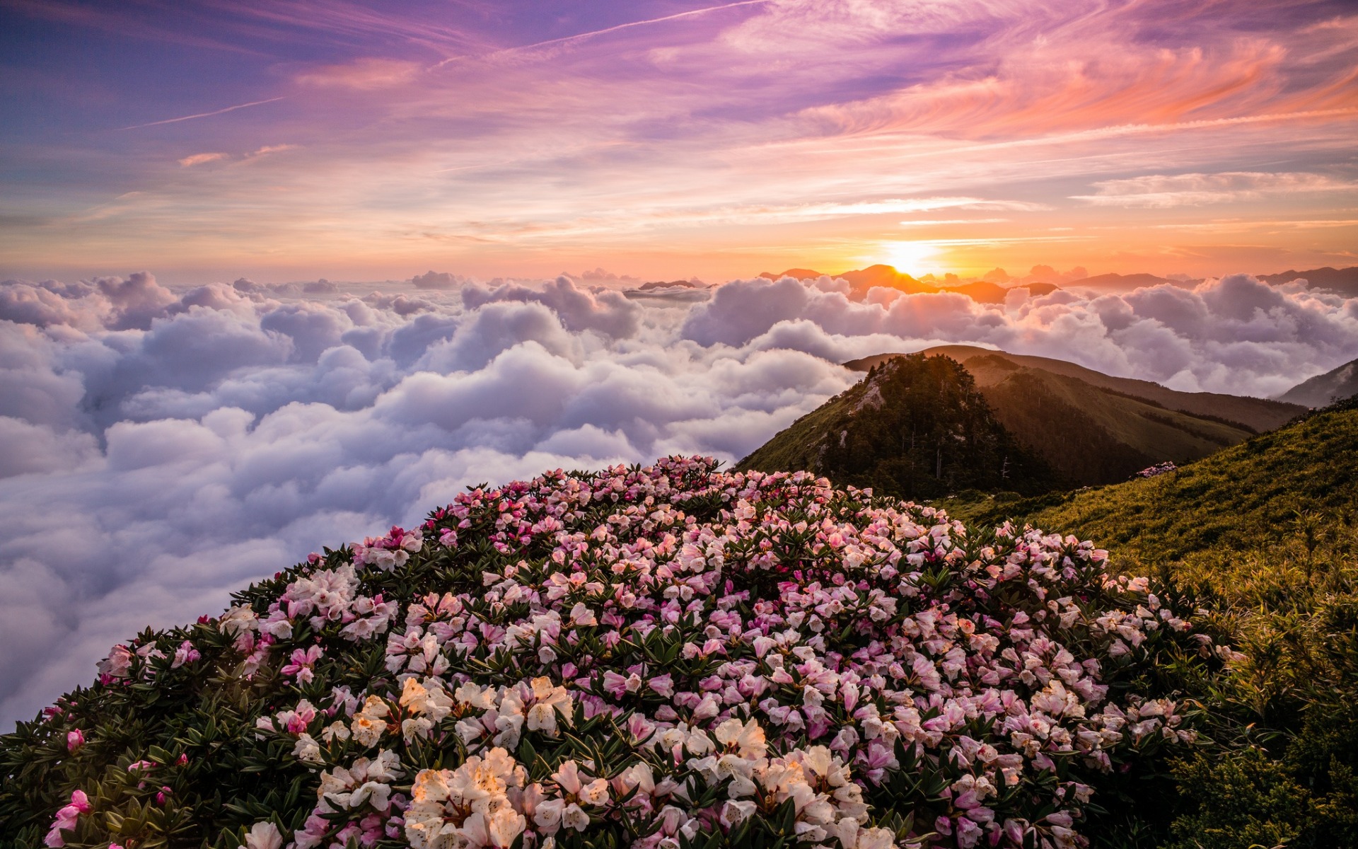 Taiwan, Mountains Above The Clouds, Mountain Landscape, - Природы Рассвет В Горах Весной , HD Wallpaper & Backgrounds