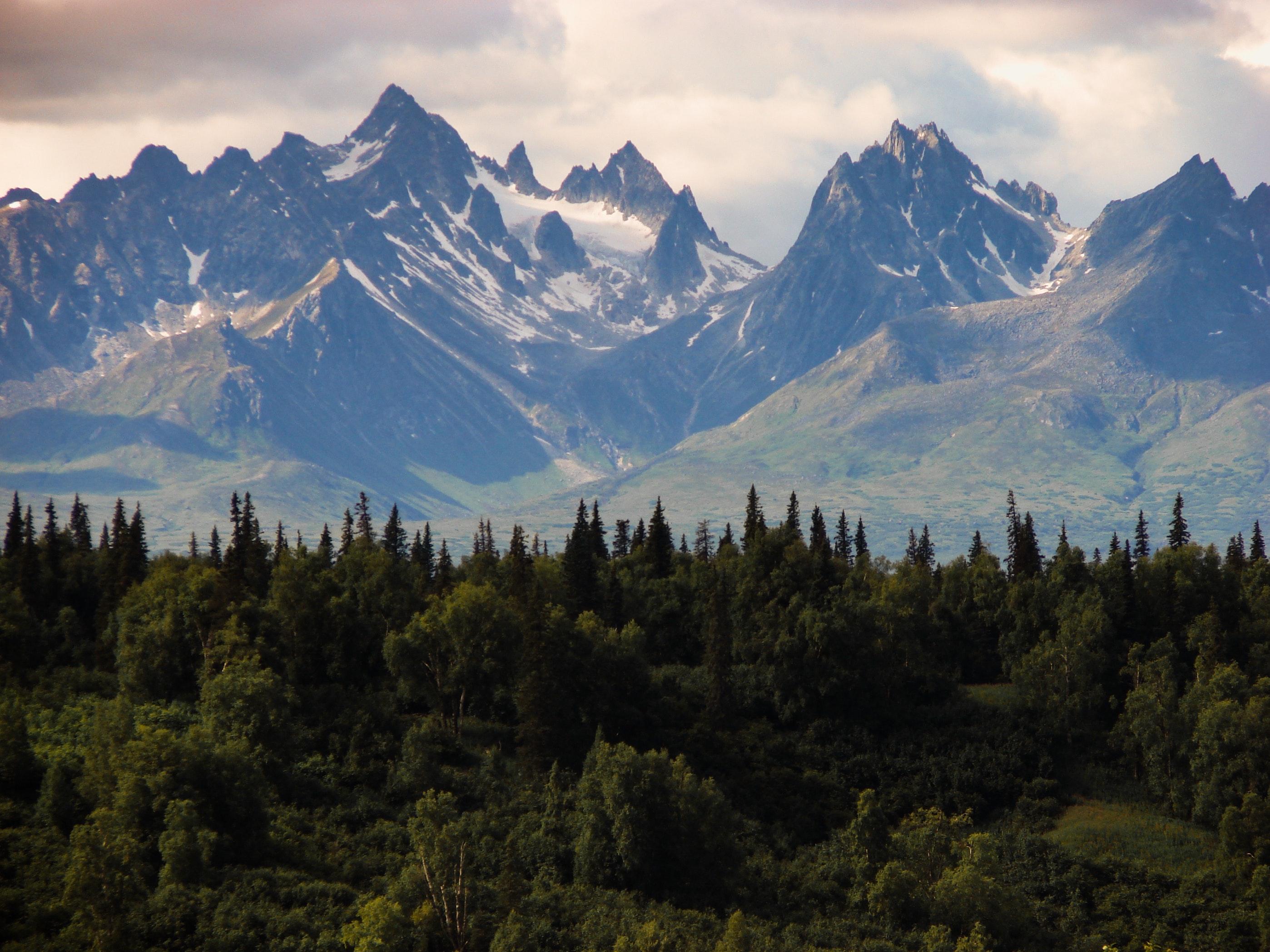 Mountain Range And Forest , HD Wallpaper & Backgrounds