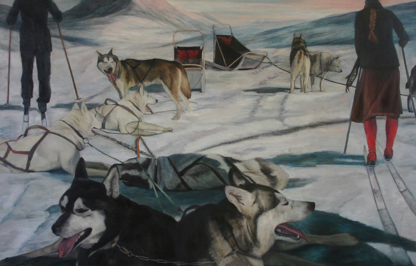 Photo Wallpaper Picture, Norwegian Artist, Christer - Canadian Eskimo Dog , HD Wallpaper & Backgrounds