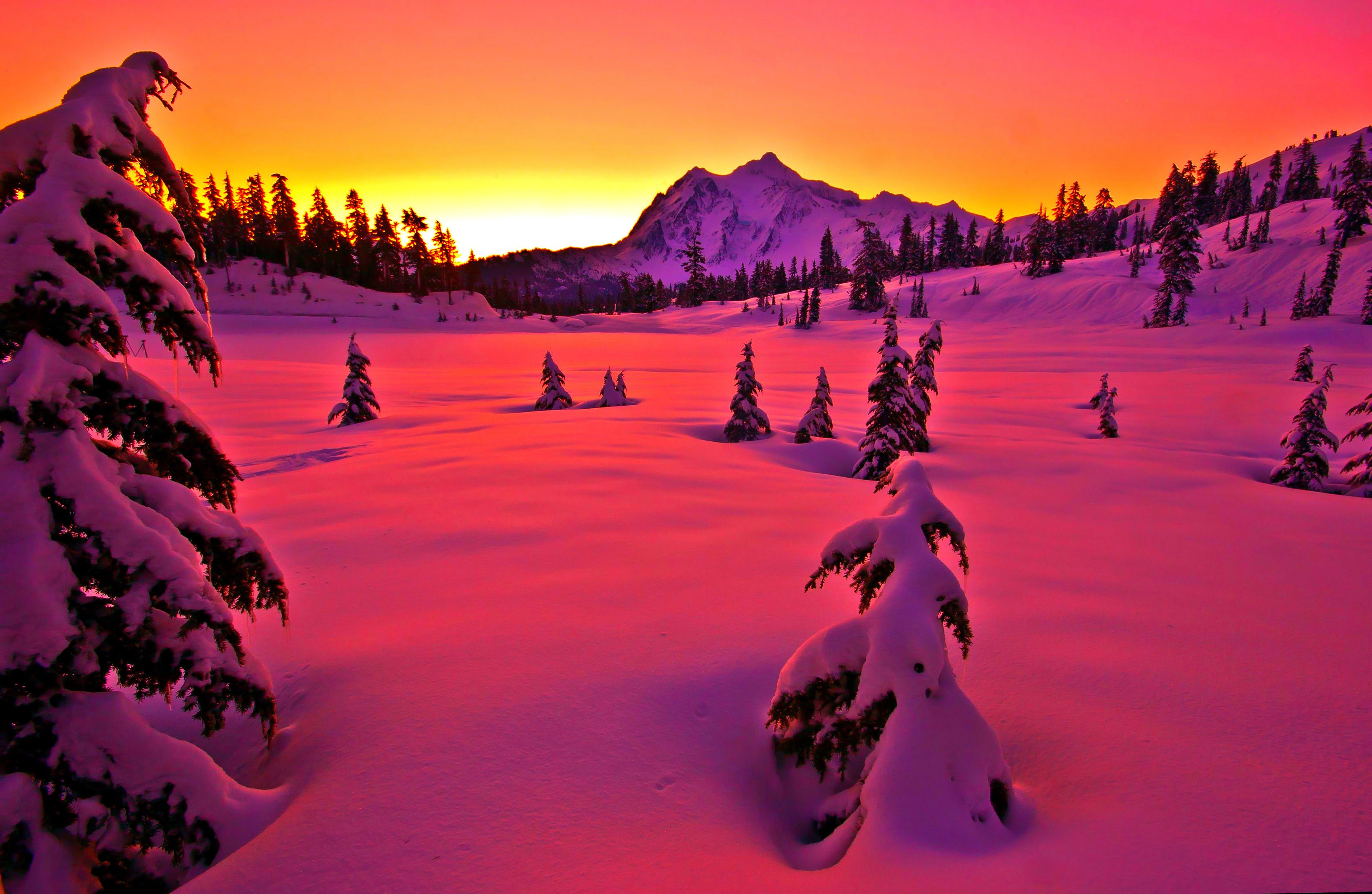 Winter In Pink, Winter, Sunset, Scenic, Pink, Nature, - Sunset , HD Wallpaper & Backgrounds