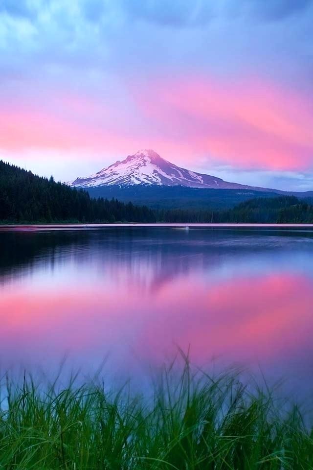 Purple Landscape Iphone Wallpaper Pink Mountain Sunset - Mount Hood , HD Wallpaper & Backgrounds