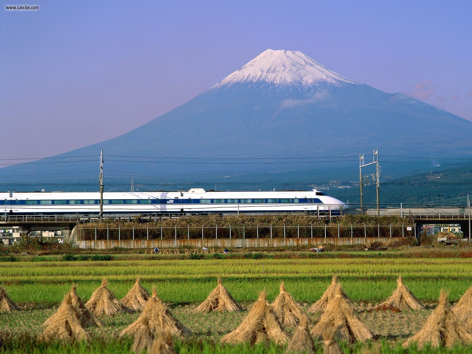 Users Who Have Seen This Wallpaper Have Also Seen - Tokaido Shinkansen Mount Fuji , HD Wallpaper & Backgrounds