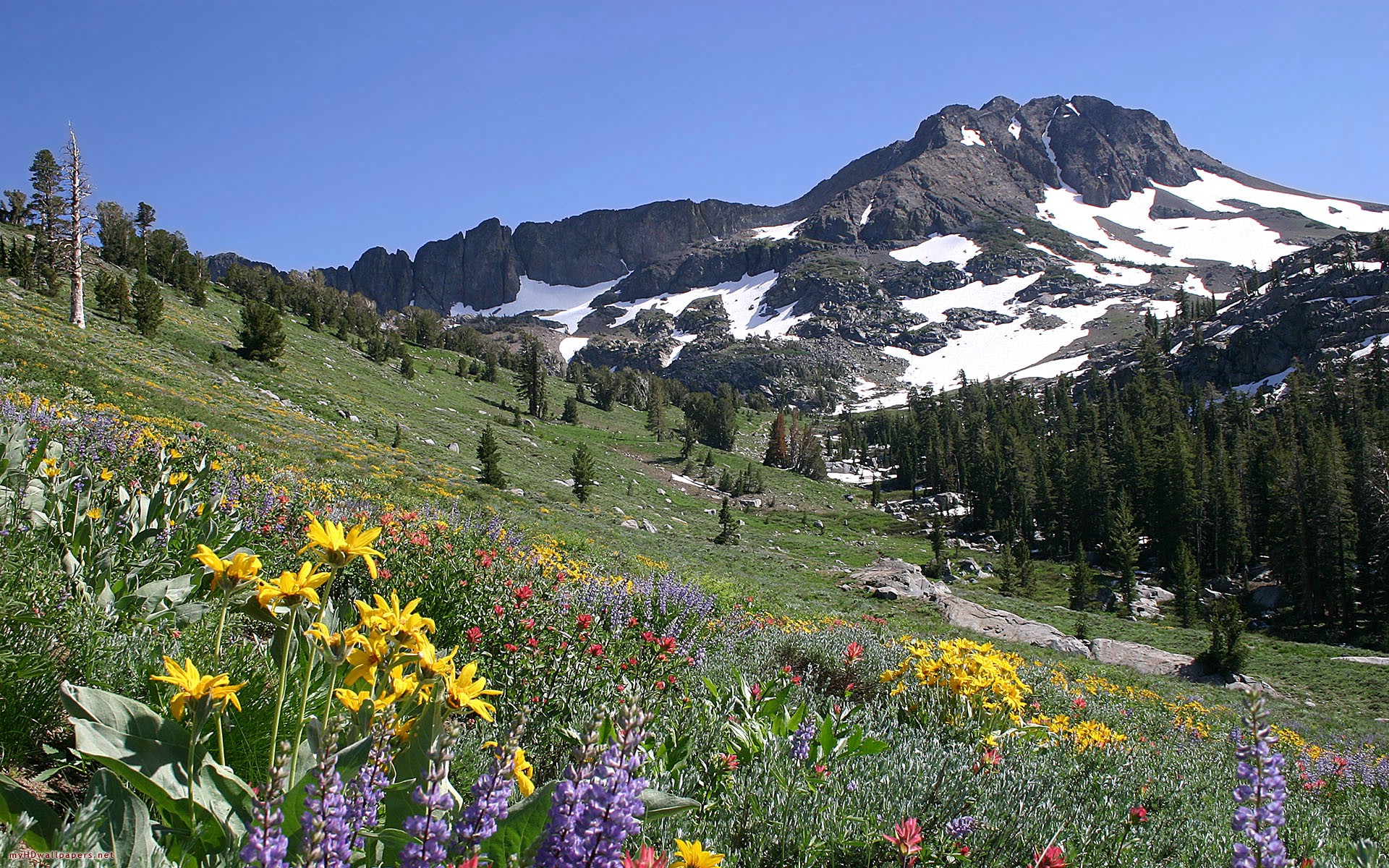 Mountains In The Spring , HD Wallpaper & Backgrounds