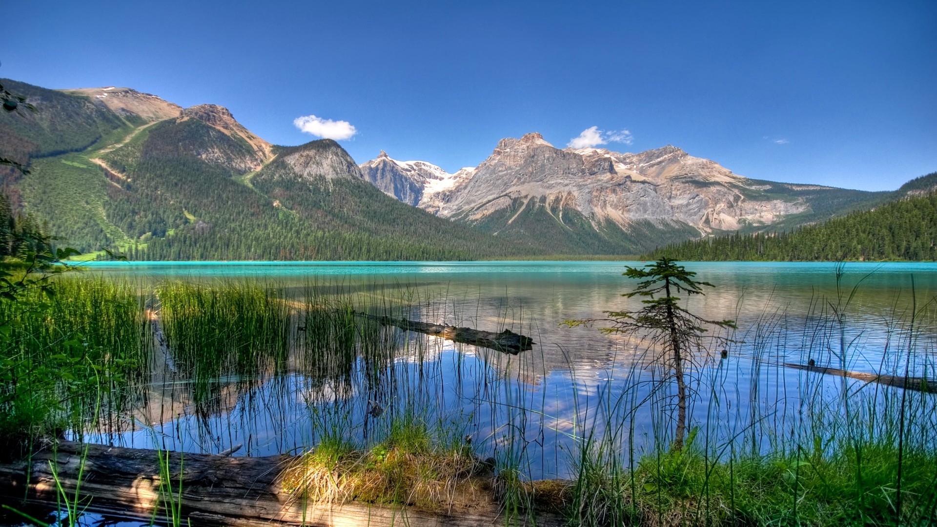 - - Emerald Lake , HD Wallpaper & Backgrounds