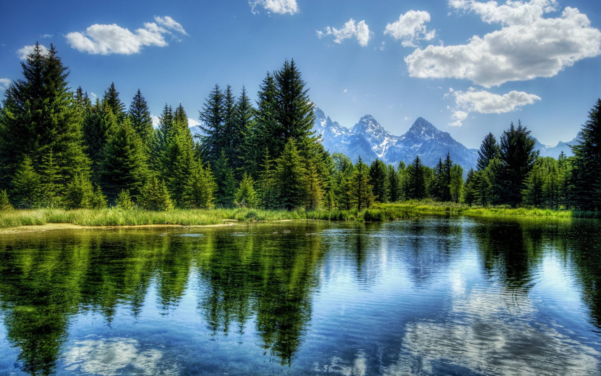 Nature, Hdr, River, Trees, Mountain, Landscape Wallpapers - Trees And