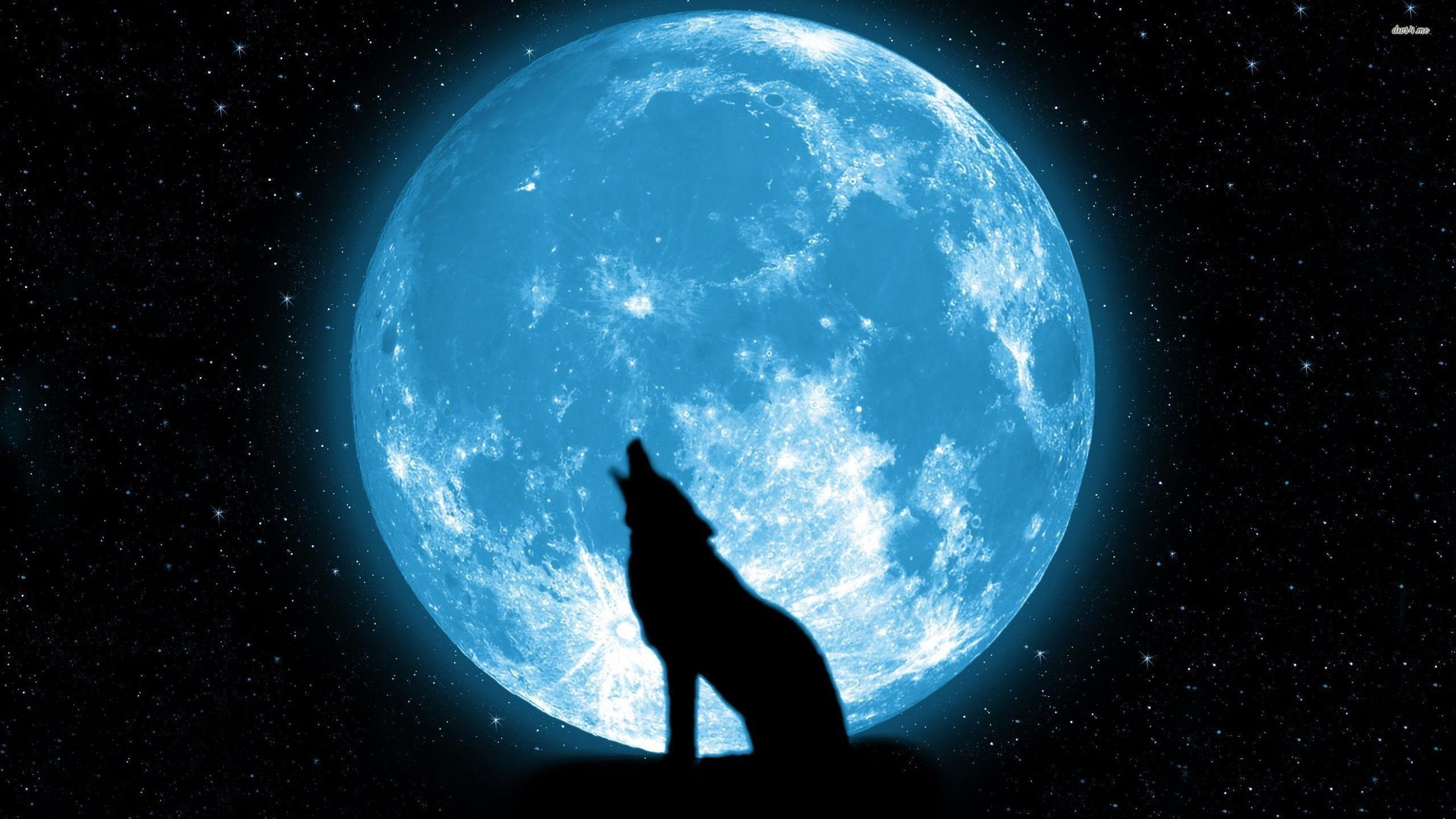 2560x1440, Blue Moon Wallpaper - Wolf Howling At The Moon Hd , HD Wallpaper & Backgrounds