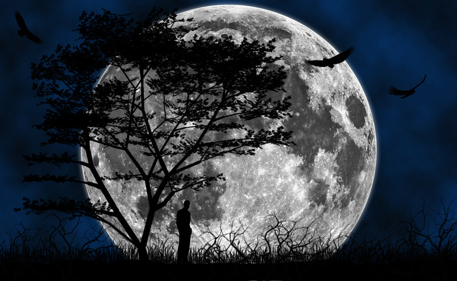 The Blue Moon Hd Wallpapers Pixelstalk Remarkable Moon - Moon Wallpaper Desktop Hd , HD Wallpaper & Backgrounds