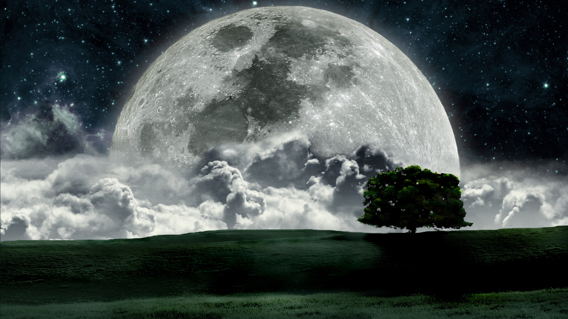 Moon,current Moon Phase,,moon Phases,the Phases Of - Sharad Purnima , HD Wallpaper & Backgrounds