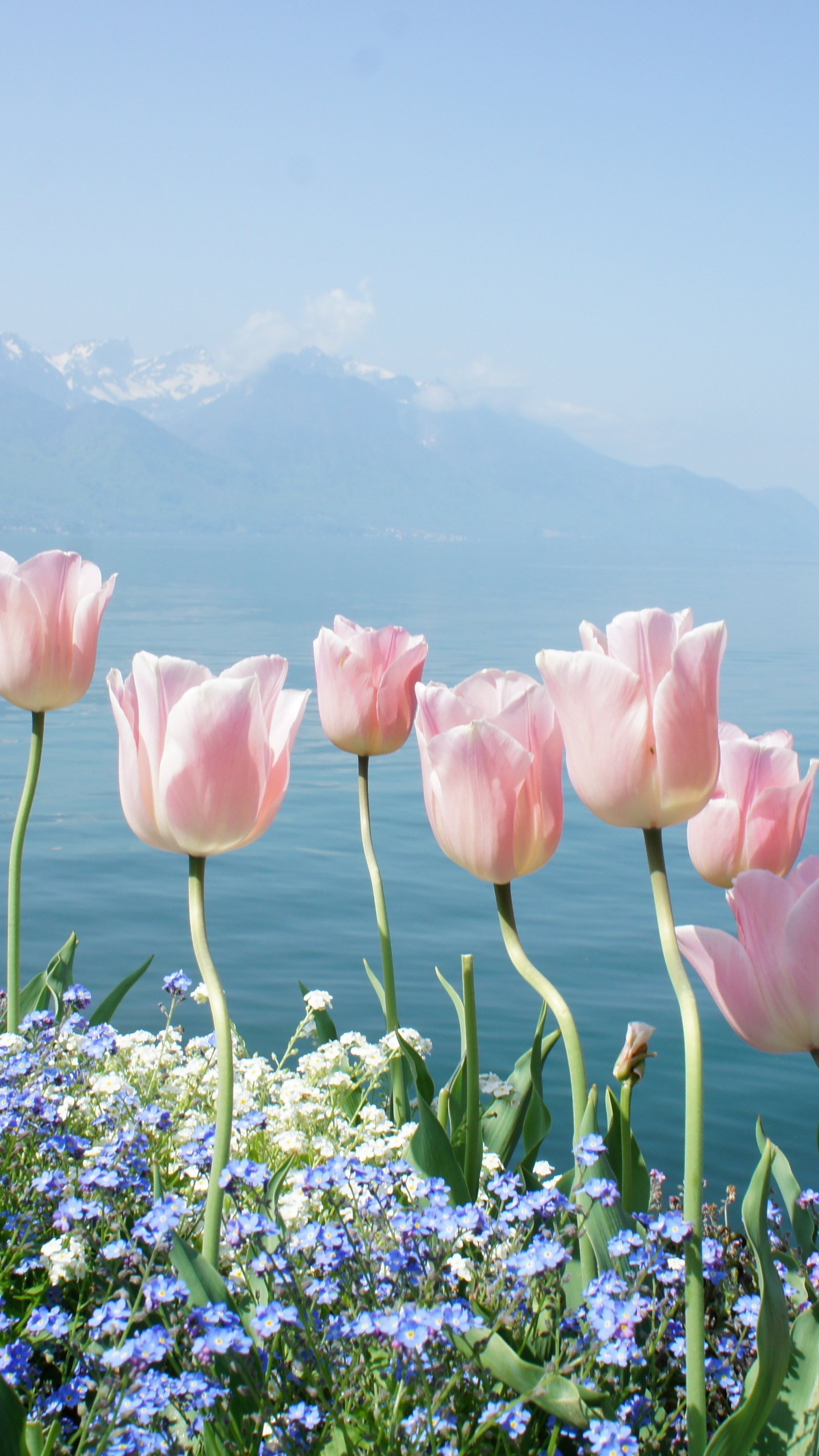 2k , Spring Wallpaper Hd Portrait (1869068) , HD Wallpaper