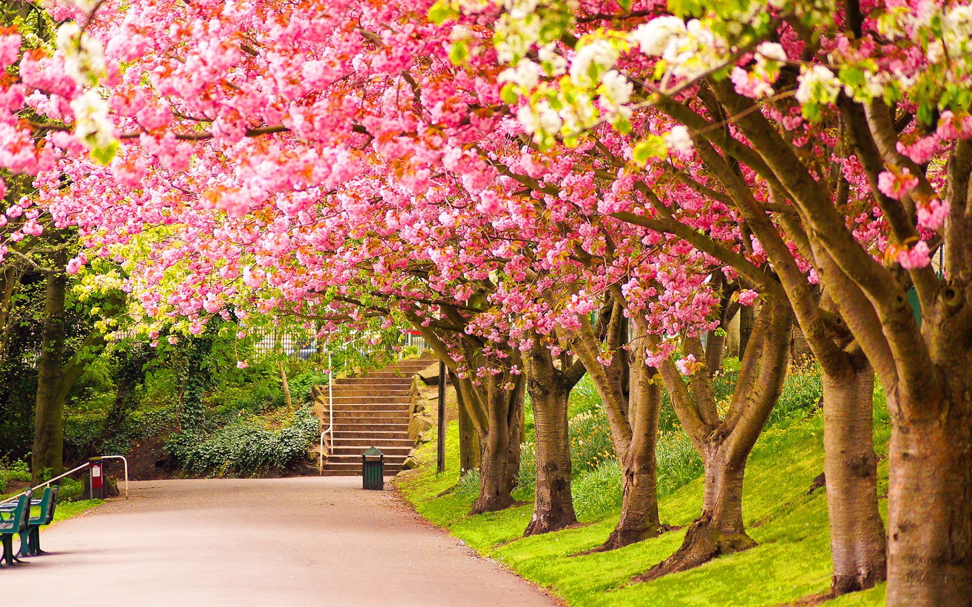 Spring Colours Wallpaper Desktop Backgrounds Nature Spring