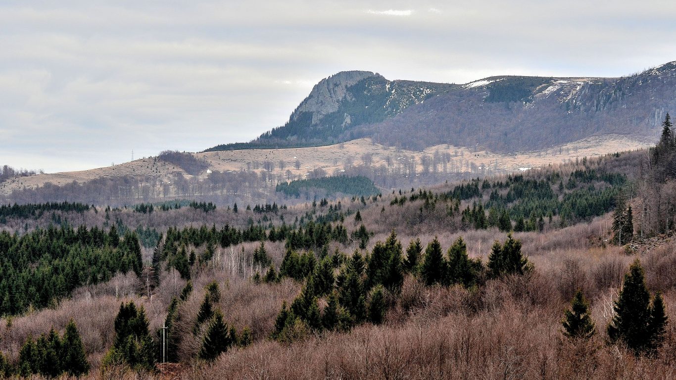 Creasta Cocosului Frig Iarna Primavara Cald Hd Mountain Larch