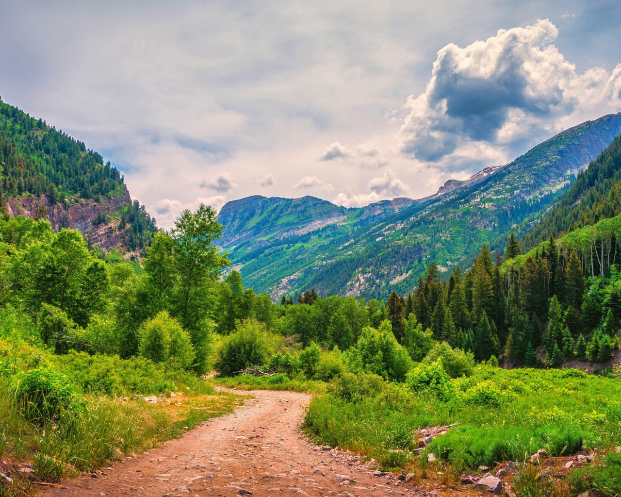 Beautiful Mountain Forest , HD Wallpaper & Backgrounds