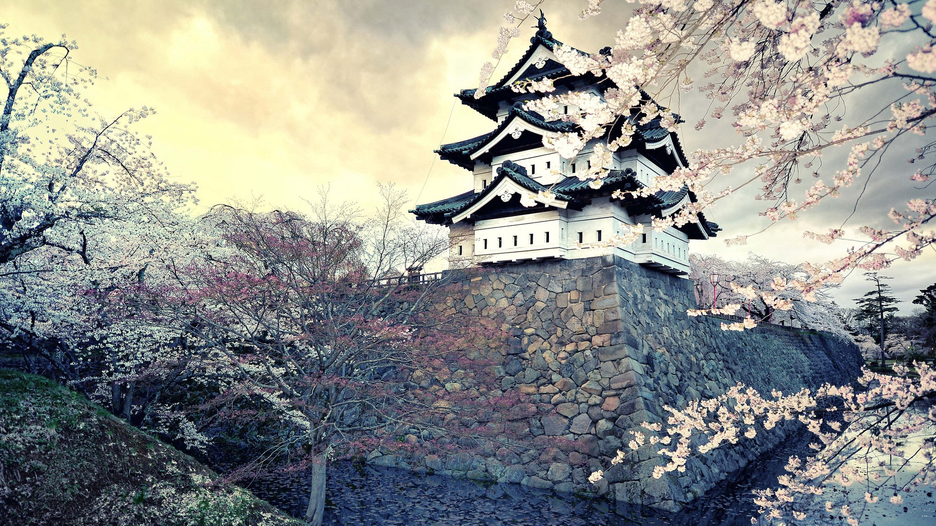 Wallpaper City, Sakura, Japan, Spring - Hirosaki Castle , HD Wallpaper & Backgrounds