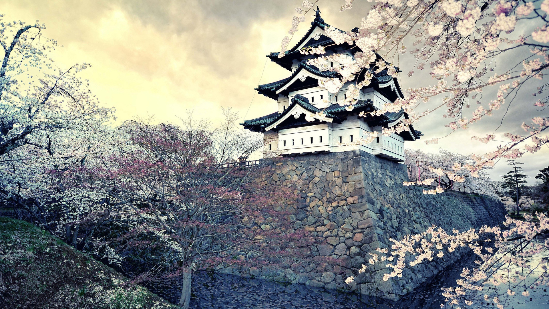 Wallpaper City Sakura Japan Spring Hirosaki Castle 1869532 Wallpaper City Sakura Japan Spring Hirosaki Castle 1869532