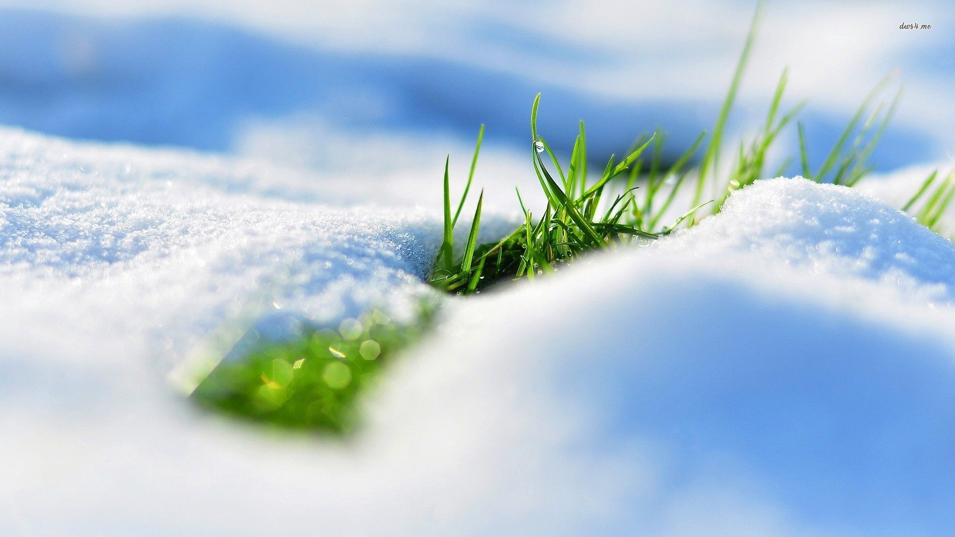 Px Early Spring Wallpapers Early Spring Wallpaper Hd Hd Wallpaper Backgrounds Download