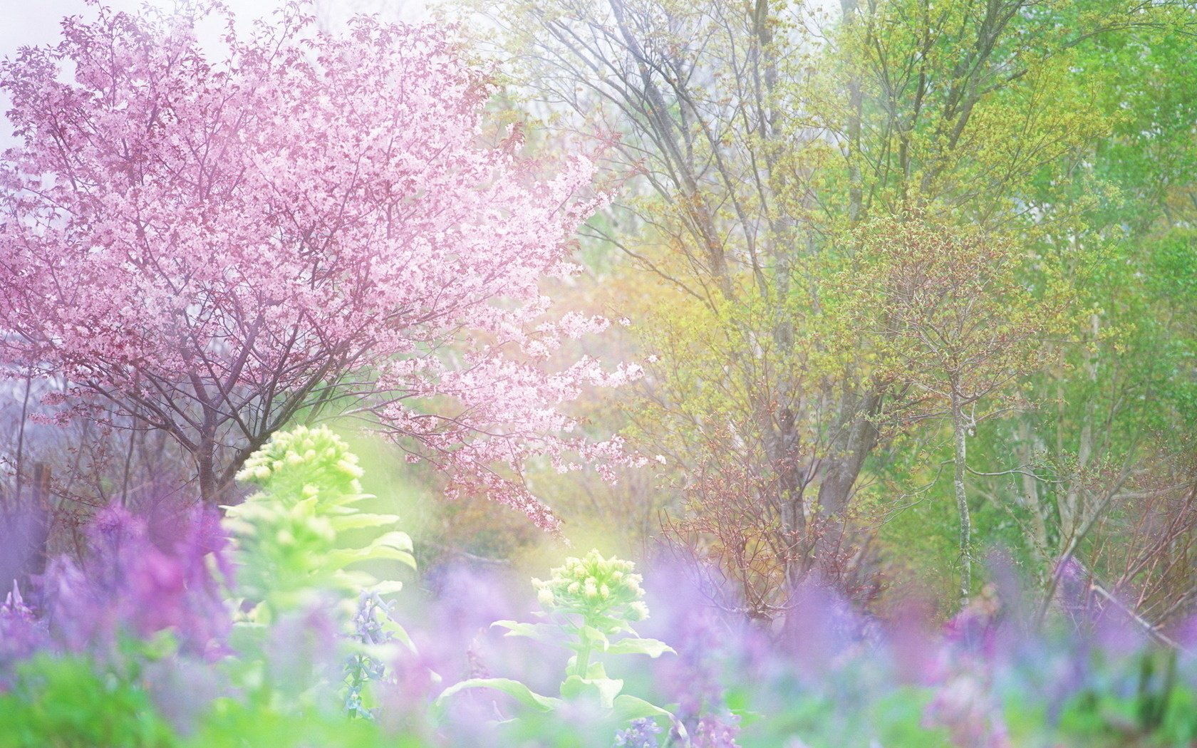 Spring Flowers Pastel (#1869751) - HD Wallpaper & Backgrounds Download